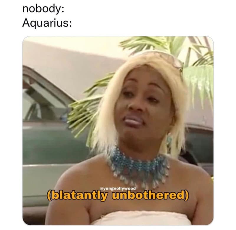 Nobody aquarius yungnollywood latantly unbothered