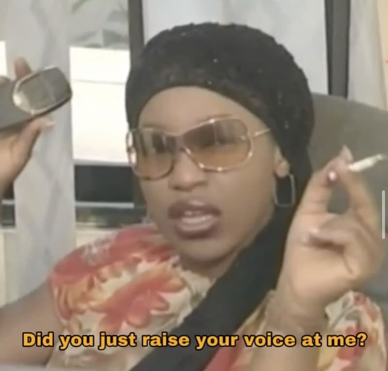 Did you just caise your voico at me?