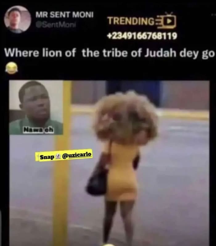 Mr senimoni oni on trendingq where lion of the tribe of judah dey go coc snap uz