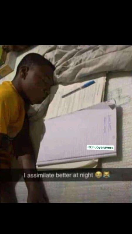 Ig,fuoyeravers assimilate belter at night