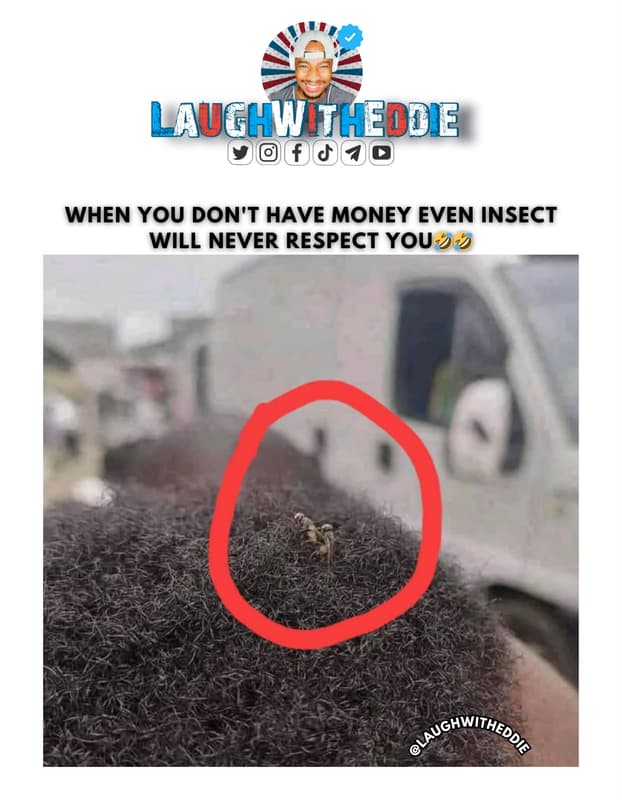 Laughwitledde 0 when you don't have money even insect will never respect you 94
