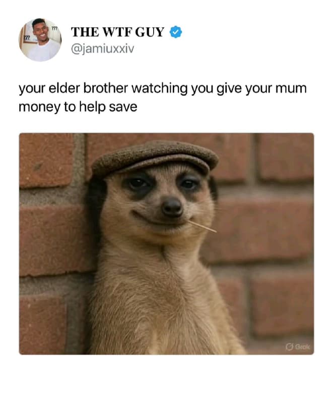 The wtf guy jamiuxxiv your elder brother watching you give your mum money to hel
