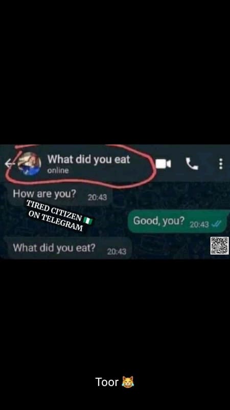 What did you eat online how are you? 20.43 tired on citizen telegram good, you?