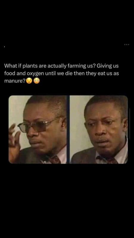 What if plants are actually farming us? giving us food and oxygen until we die t