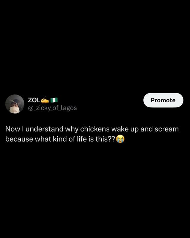 Zol zicky_of_lagos promote now l understand why chickens wake up and scream beca