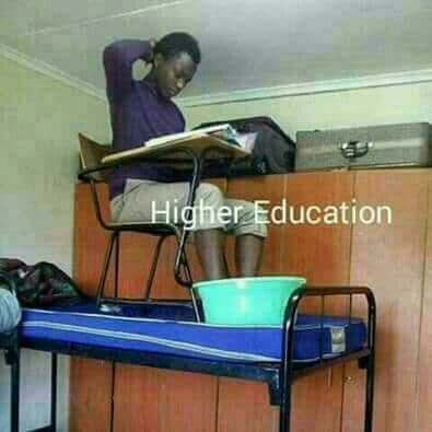 Higher education