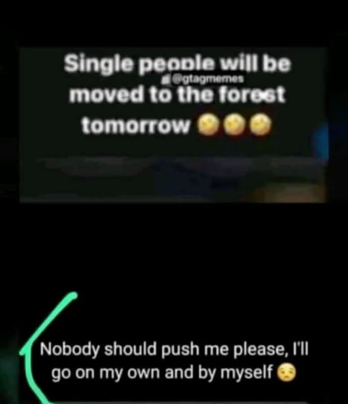 Single people will be gotaomomon movedtotheforost tomorrow nobody should push me
