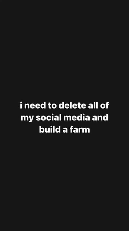 Ineed to delete all of my social media and build a farm
