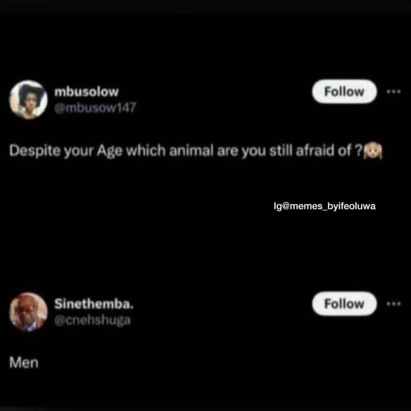 Mbusolow unbusowia7 follow despite your age which animal are you still afraid of