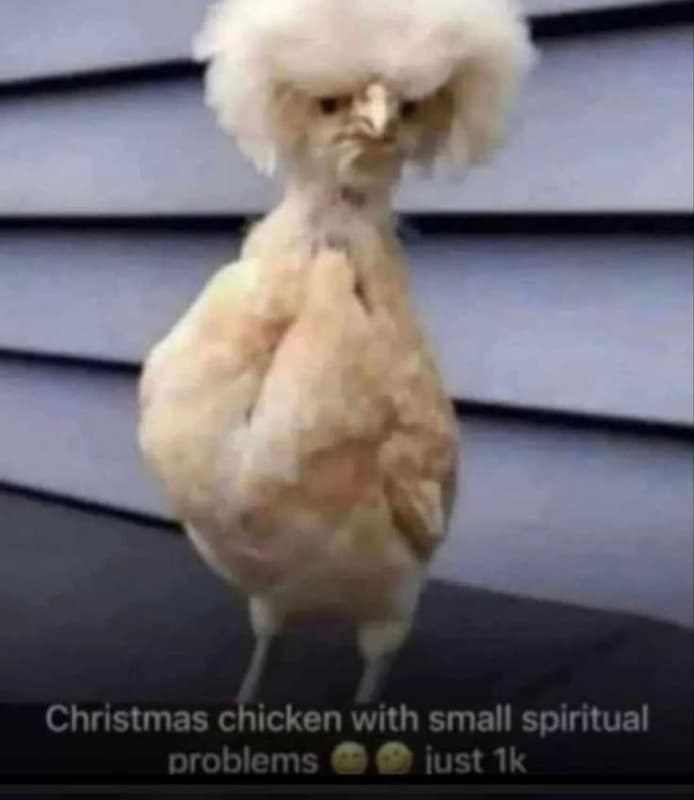 Christmas chicken with small spiritual problems iust jk